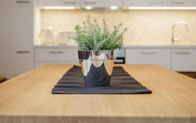 Apart am Sonnenhügel