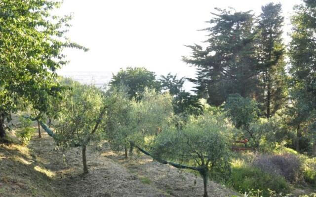 casetta ai venti colline di viareggio