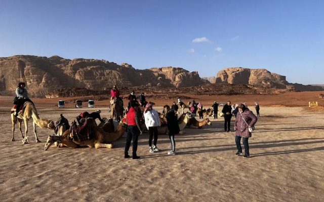 Rum Oasis Luxury Camp