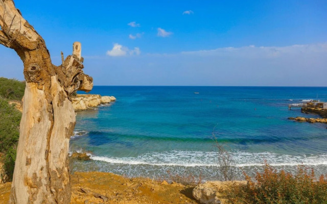Villa Polyxeni in Protaras