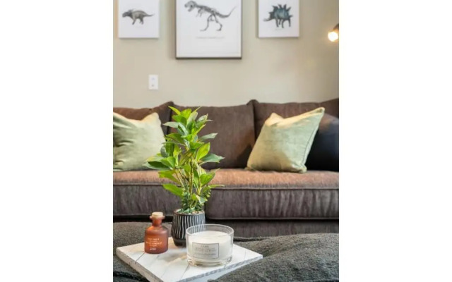 Triceratops Landing I Fire Place I Games I Netflix