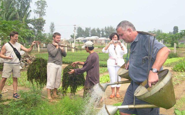 LIVIE Da Nang Style