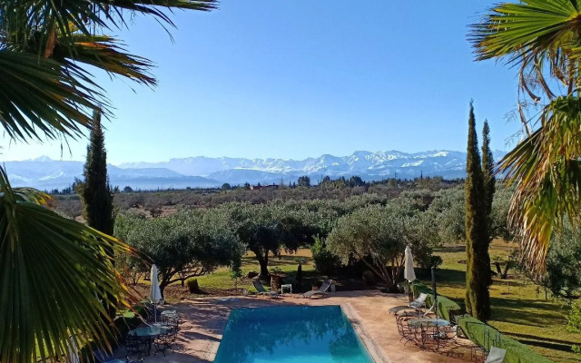 Marrakech African Queen