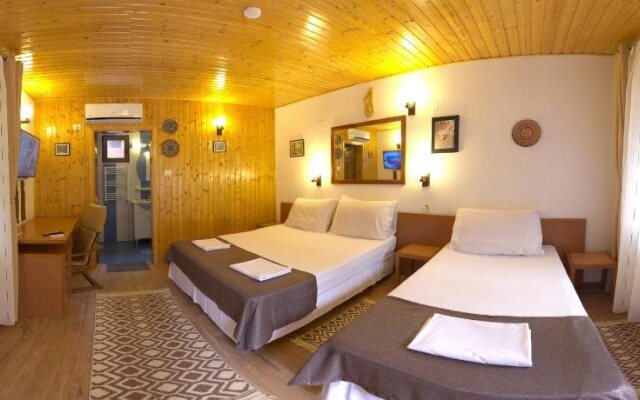 Casa Verde Star