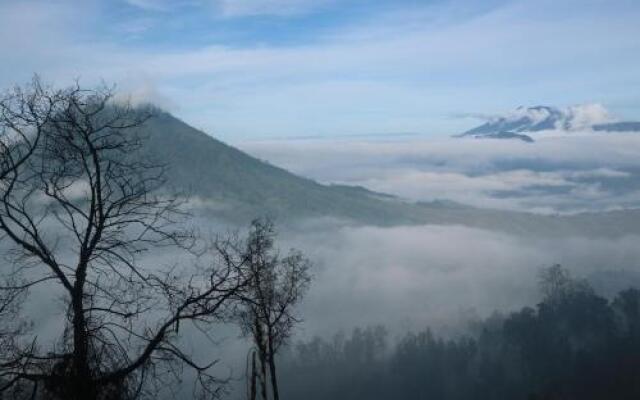 Putu Guest House Pemuteran