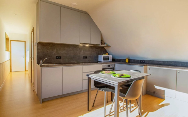 Apartment West Flanders With Roof Terrace