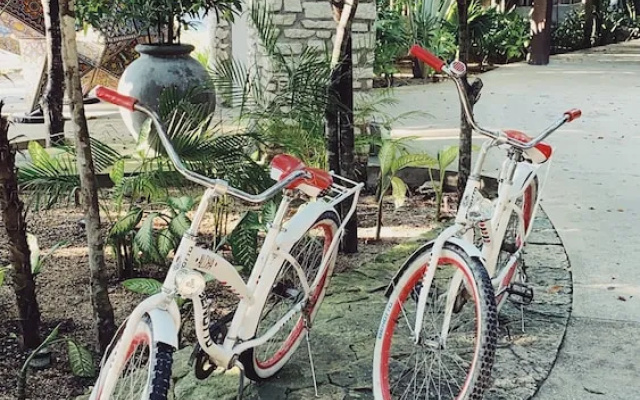 Aluna Resort Tulum