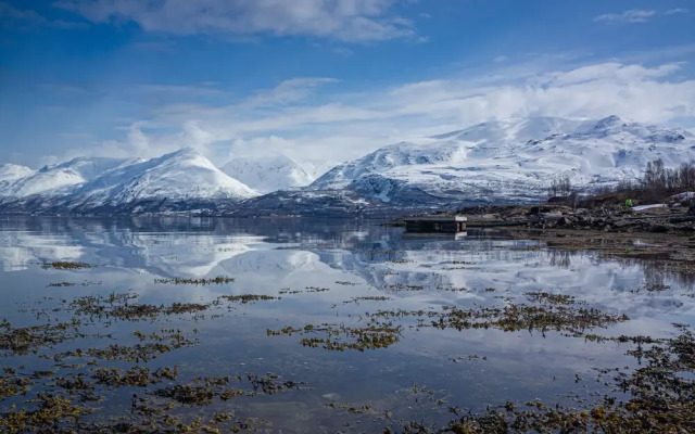 Aurora Fjord Cabins