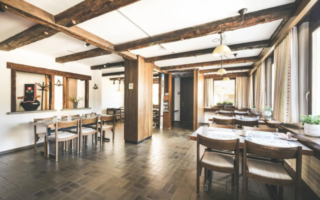 Hotel Alpina