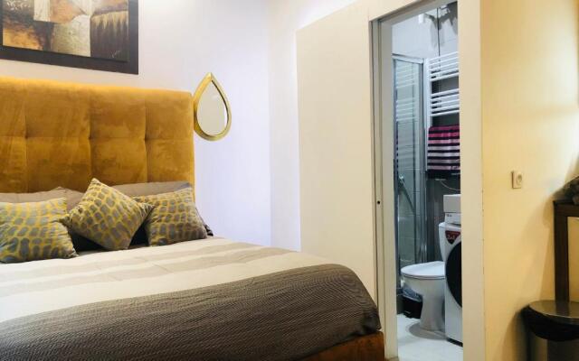 Charming Studio Notre-Dame