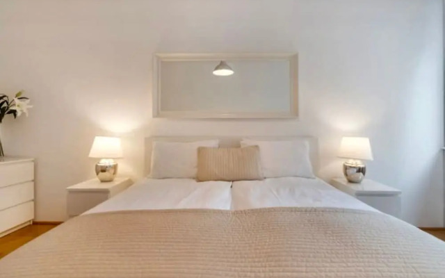 Apartment in the  center Vienna Austria