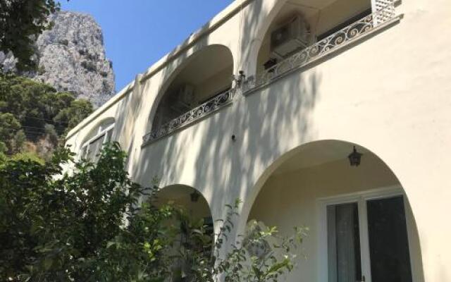 Villa Striano Capri - Guest House - Rooms Garden & Art