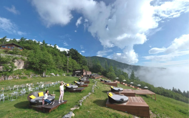 Pension White Clover