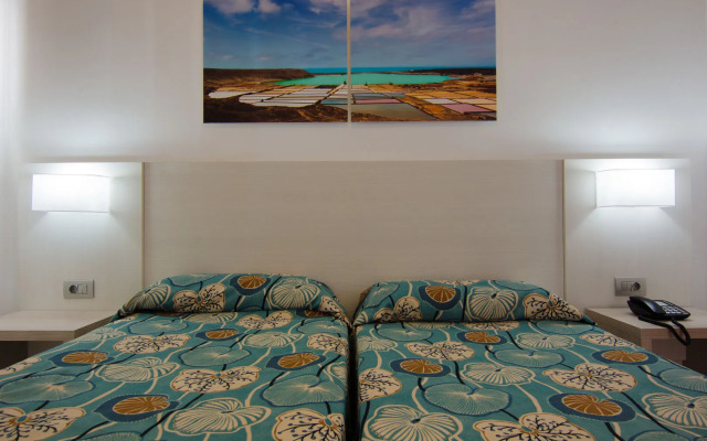 Apartamentos HSA Ficus