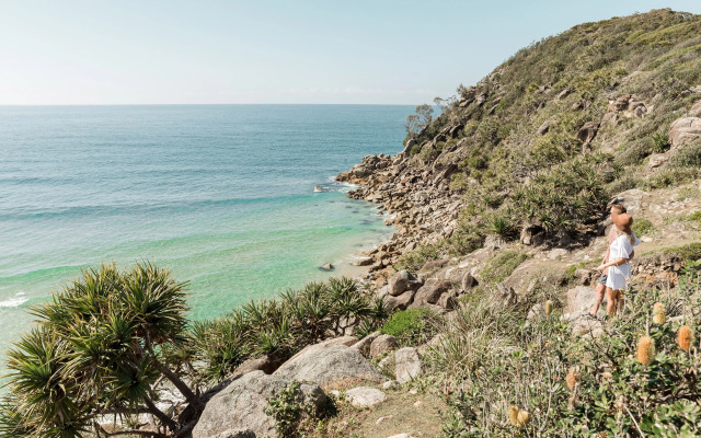 Salt at South West Rocks