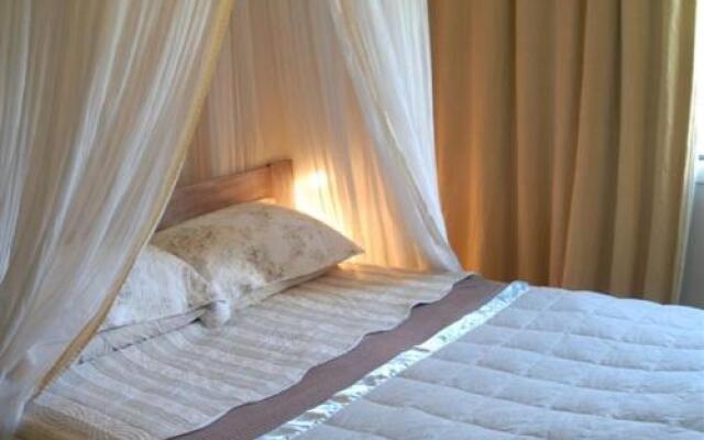 Pagan Vines Vineyard Accommodation