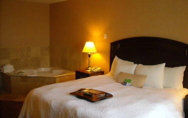 Hampton Inn & Suites by Hilton Edmonton Intl Airport