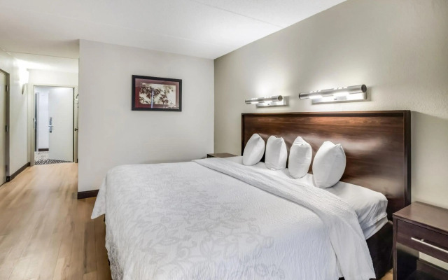 Red Roof Inn PLUS+ Boston - Woburn/ Burlington