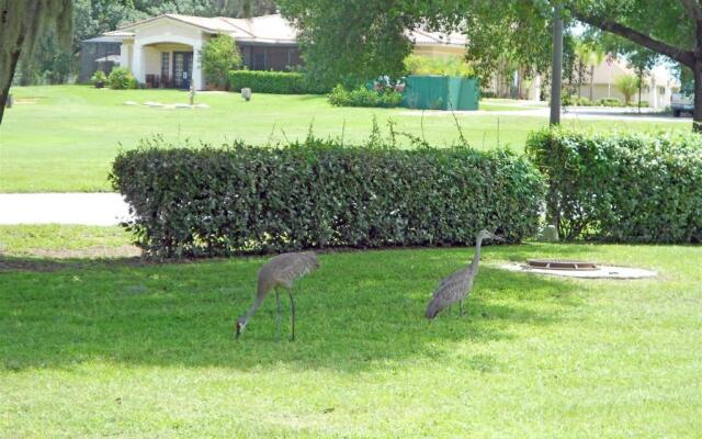 Condo Jelsma- 3 Bedroom