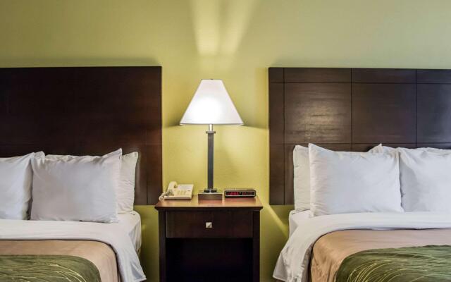 Comfort Inn & Suites St. Pete - Clearwater International Airport