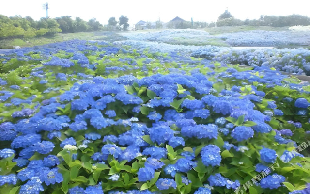 Kuwana Park