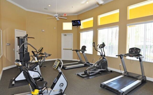 Terra Verde IHR 3063