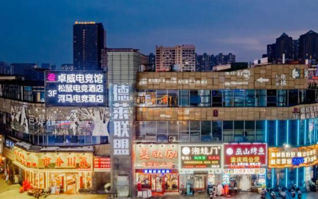 Wuhu Hippo E-sports Hotel (University Town)