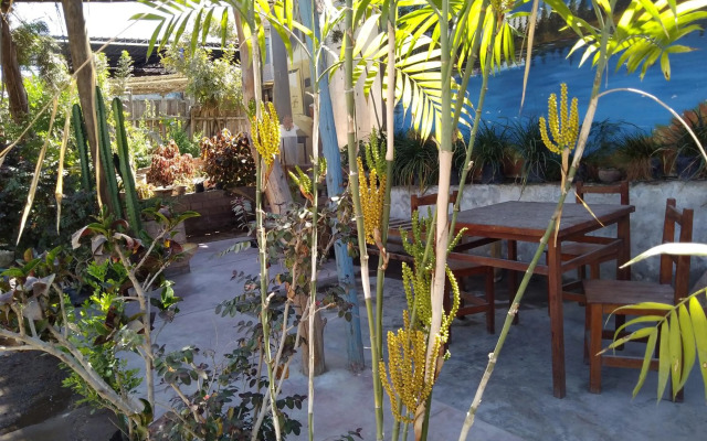 Departamento Familiar Pimentel 02 - Ica