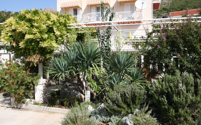 Room Nikola1 - free parking R4 Mlini, Riviera Dubrovnik