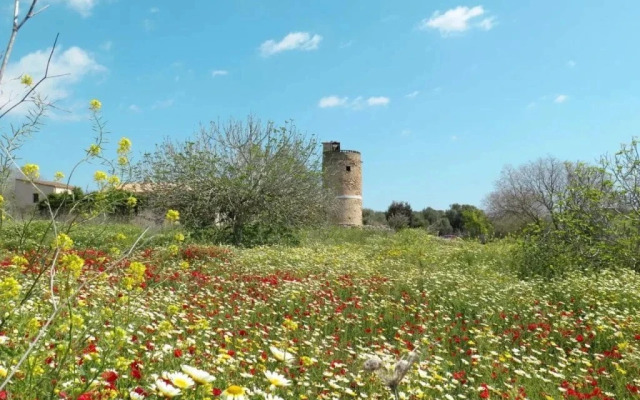 Holiday Home Pueblo - PSR175