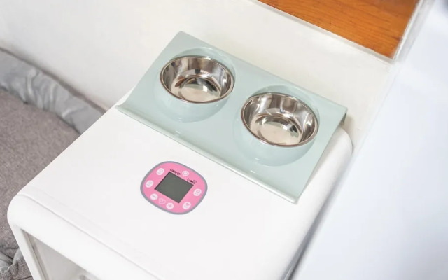 Seonjaedo Gaekkul House pet Pension