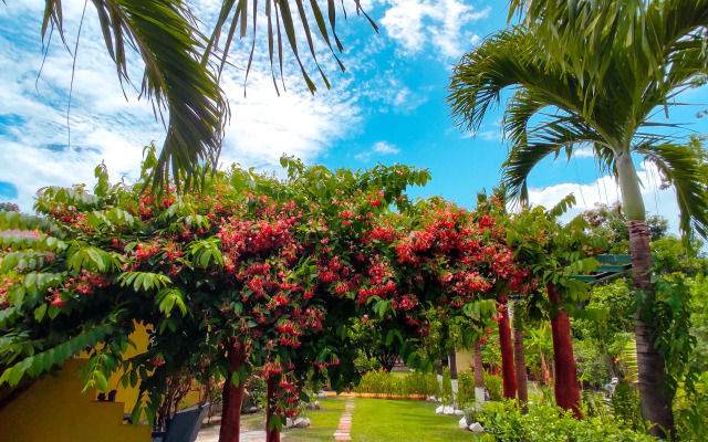Las Catalinas Coronado