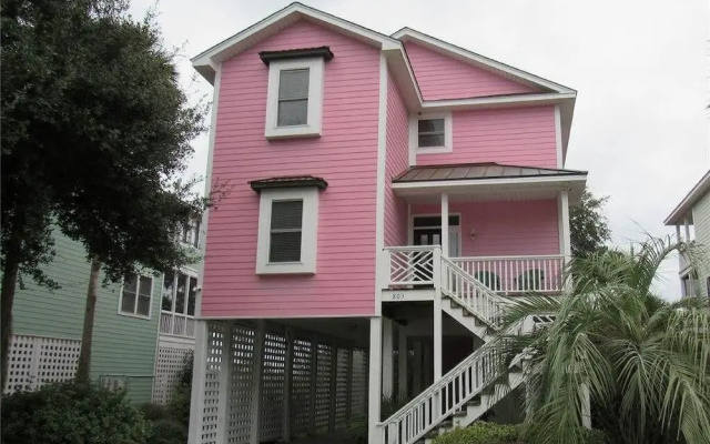 Pink Flamingo