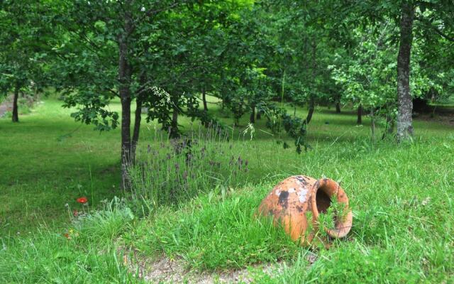 Room-paradise is Real at Vale Martinho R