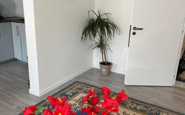 Maison neuve chaleureuse pour 1 à 4 personnes