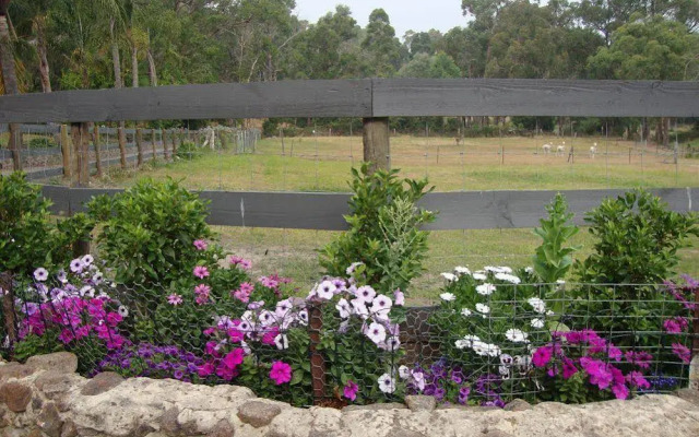 Sunway Farm Bed & Breakfast & Rosebud Cottage