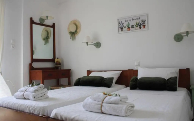 Olive apartment