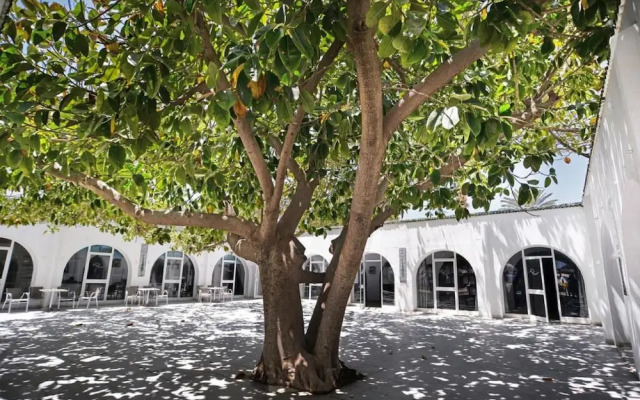 Palmyra Club Nabeul
