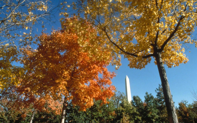 The Fairfax at Embassy Row, Washington D.C