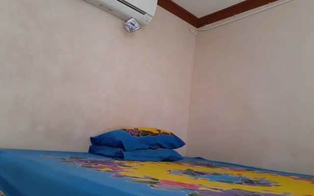 Spot On 2846 Kost Faza