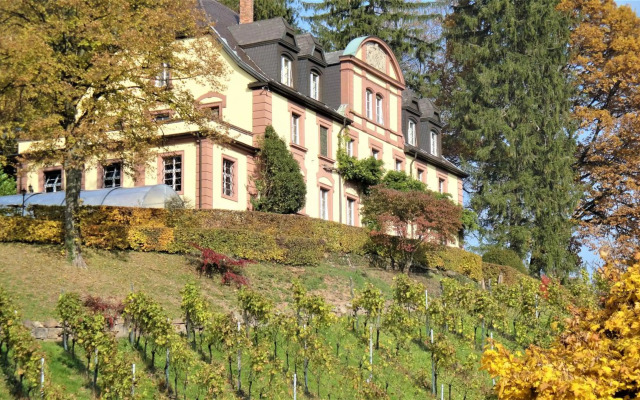Wein Lodge Durbach - Josephsberg
