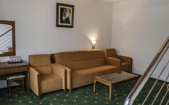 Hotel Casa Viorel