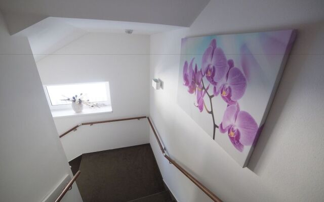 Hotel Star Lipno