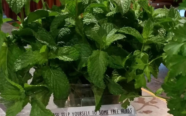 YHA Grampians Eco Halls Gap