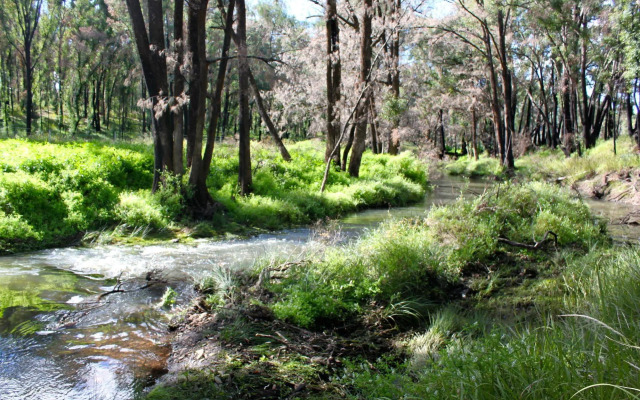 Warrumbungles Mountain Motel