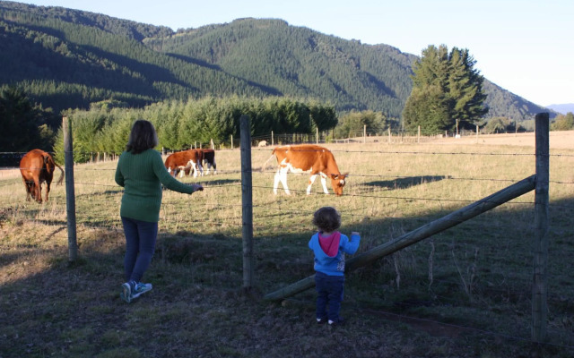 Cabaña Aroma de Campo