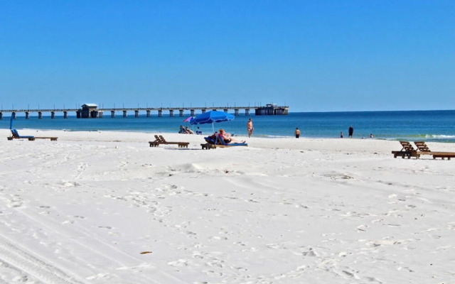 Whaler by Youngs Suncoast