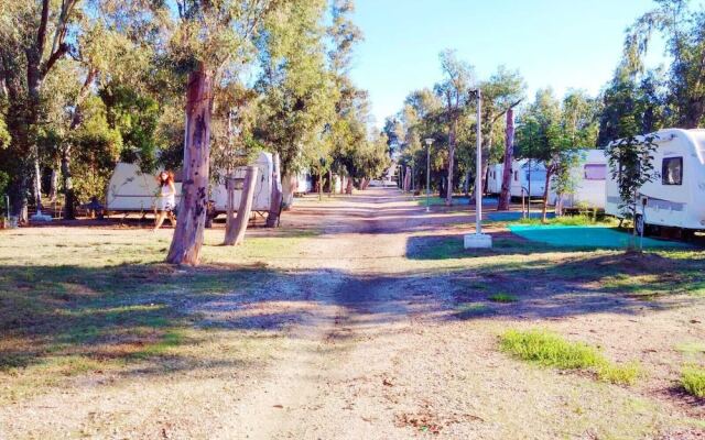 Camping la Naranja