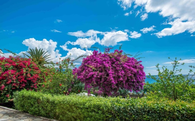 Douka Sea Front Residencies