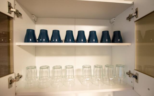 Comfortable Large Center Apartment